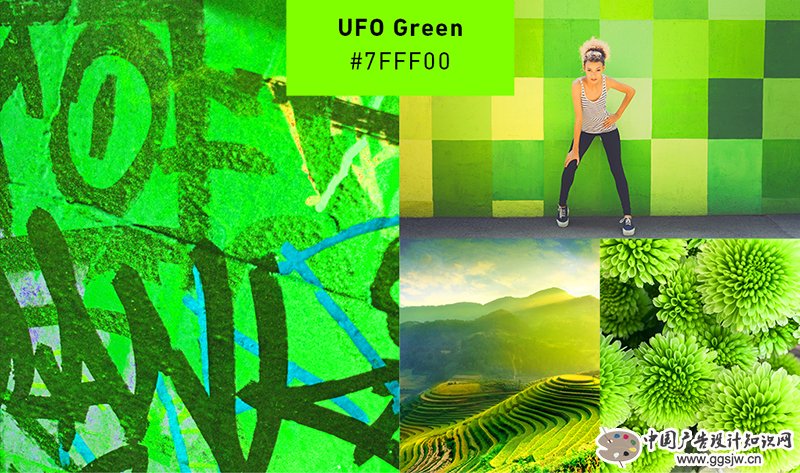green-collage.jpg